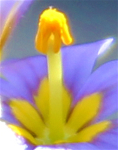 Austin Fine Art Gallery